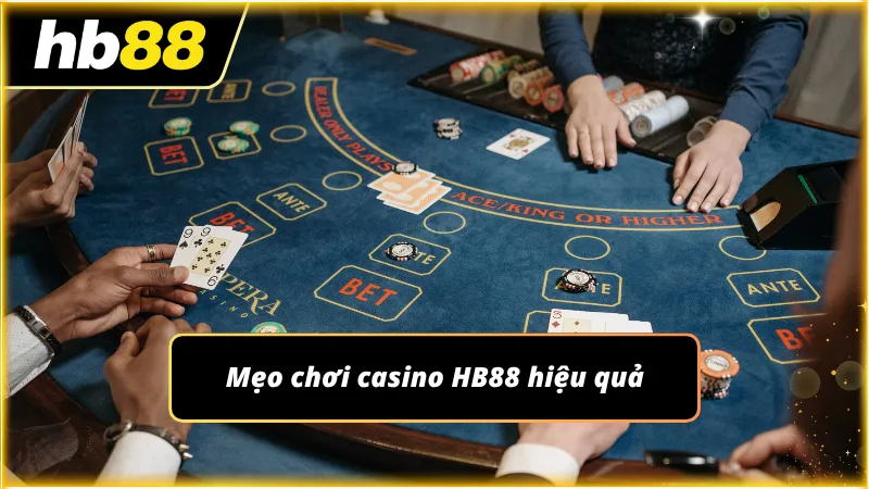 Tận dụng những kinh nghiệm của tiền bối để vào cược hiệu quả hơn